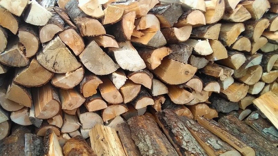 Упрощена процедура продажи древесины для отопления домов и соцобъектов