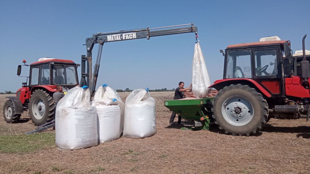 12 тысяч гектаров сельхоз земель В Крыму перешли в муниципальную собственность