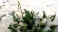 В Крыму 5 февраля ожидается снегопад и гололедица: штормовое предупреждение от МЧС