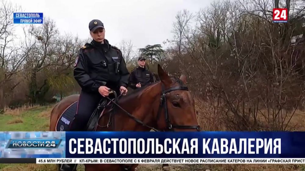 В Севастополе определили семь территорий для конного патрулирования