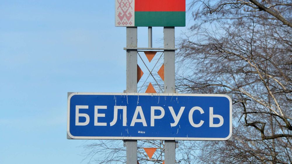 В Белоруссии на границе сбили украинский беспилотник