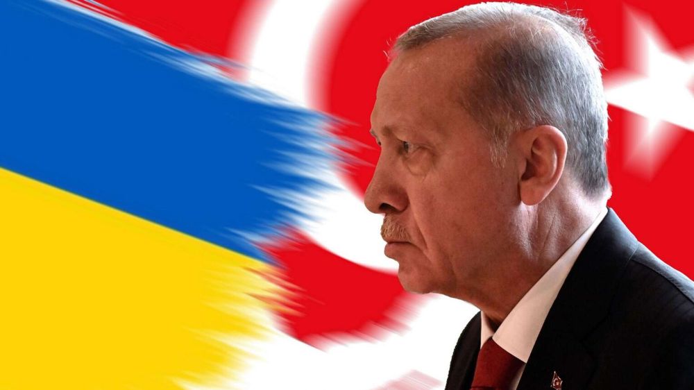 Турция увеличила поставки оружия Киеву: почему нет жесткой реакции РФ