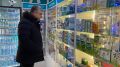 Константин Скорупский провел мониторинг наличия и стоимости препаратов в аптеках города Симферополя