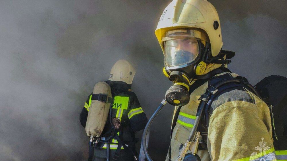 В Крыму на пожарах и в ДТП за неделю погибли четыре человека