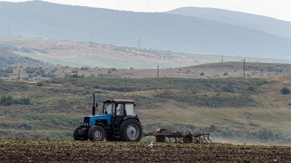 В Крыму выявили около 300 неиспользуемых земельных участков и строений