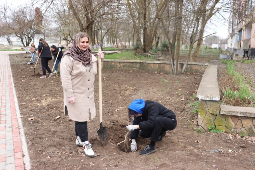 Село Мирновка Джанкойский район