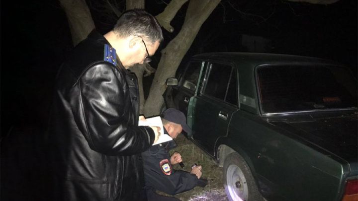 В Крыму нетрезвый водитель сбил пятерых, включая троих детей