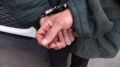 Сбившего семью с детьми водителя арестовали - прокуратура Крыма