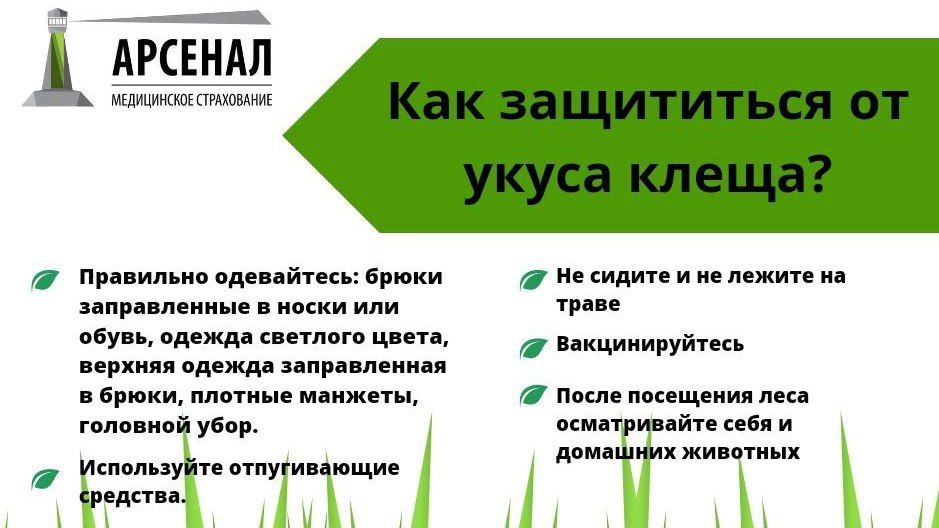 Можно ли смывать клеща в унитаз