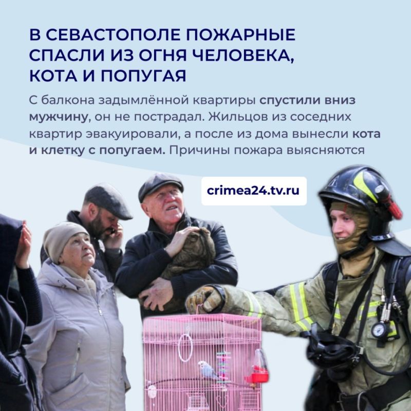 Актуальные новости Крыма за 14 марта
