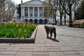 Прогноз погоды на 24 марта: в Севастополе сегодня без осадков