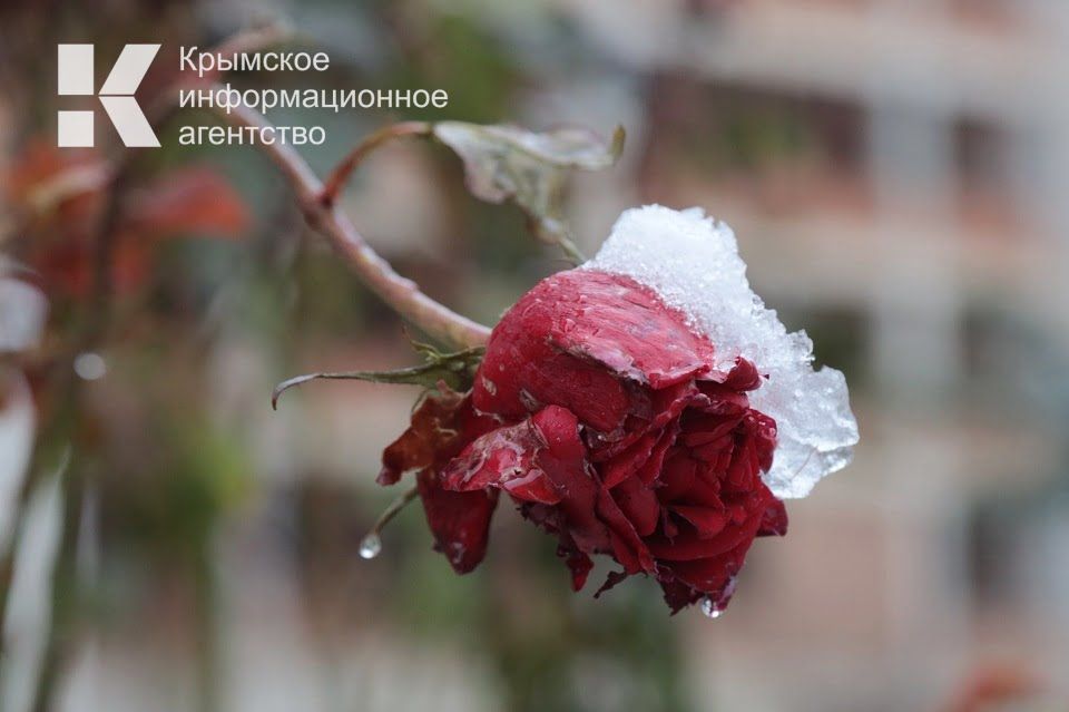 В конце марта синоптики прогнозируют снег в Крыму