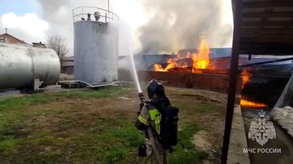 Крупный пожар в Ростове: прокуратура выясняет причины ЧП в ангарах