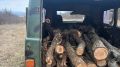 Сотрудниками ГКУ РК «Юго-восточное объединенное лесничество» был выявлен факт незаконной заготовки древесины