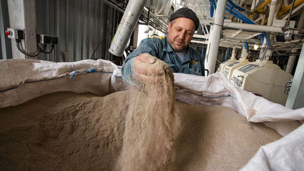 Как и где в Крыму делают муку для полезного черного хлеба