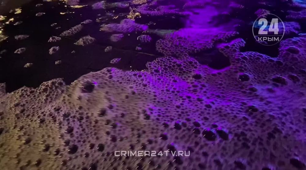Нет, это не жемчужная ванна - Лента новостей Крыма