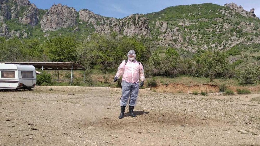 Специалистами ГБУ РК «Ялтинский городской ветеринарный лечебно ...