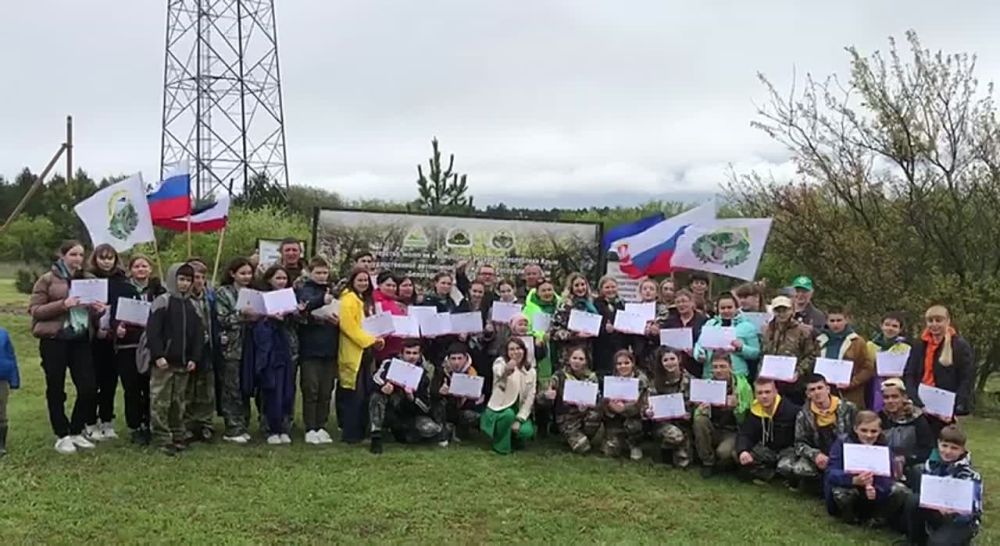 старокрымское лесничество. сенокосное раздольненский район крым. крым раздольненский район лесхоз. лесничества крыма. лесное хозяйство крыма.