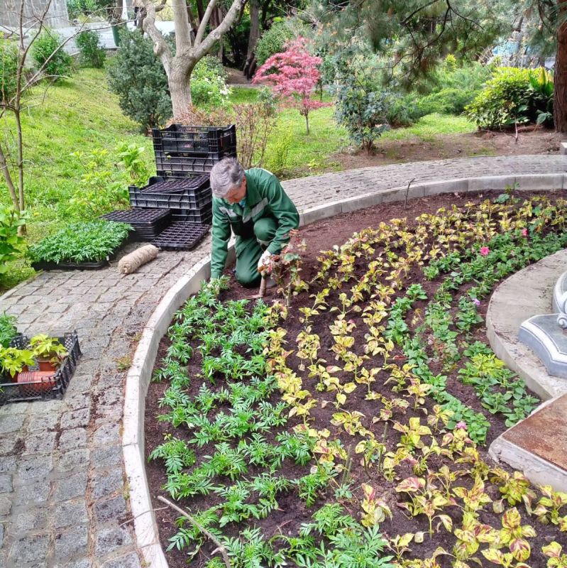 Цветущая Ялта: в регионе стартовала высадка цветов - Лента новостей Крыма