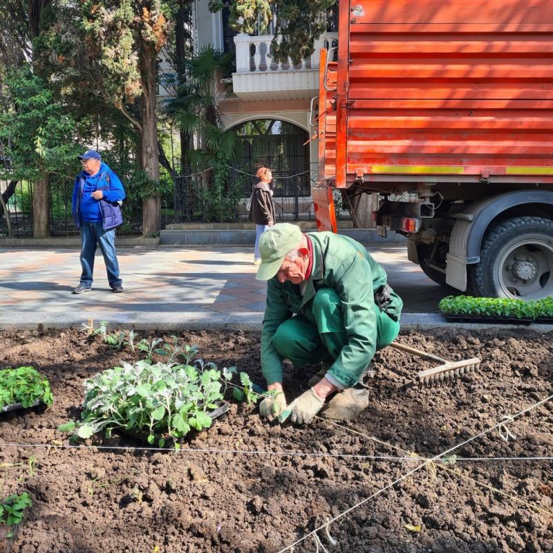 Цветущая Ялта: в регионе стартовала высадка цветов - Лента новостей Крыма