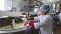 ООО «ЮГ МОЛОКО» за прошлый год произвело сухого молока в 2,3 раза больше, а сливочного масла в 2 раза больше, чем в 2021 году – Андрей Савчук