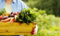Упрощен порядок перевозки овощей и фруктов из Херсонской области в Крым