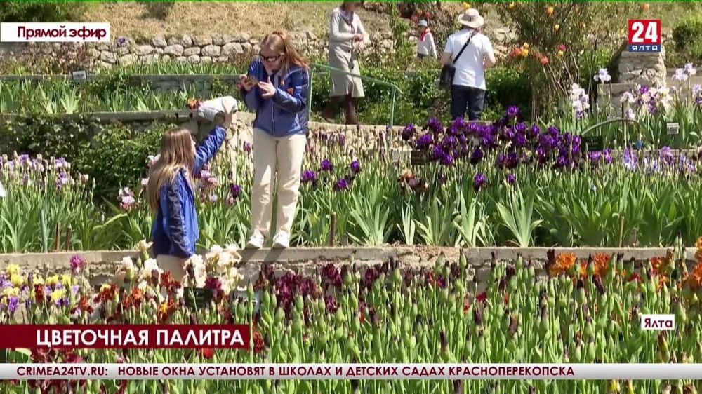 На Южнобережье открылась выставка ирисов - Лента новостей Крыма