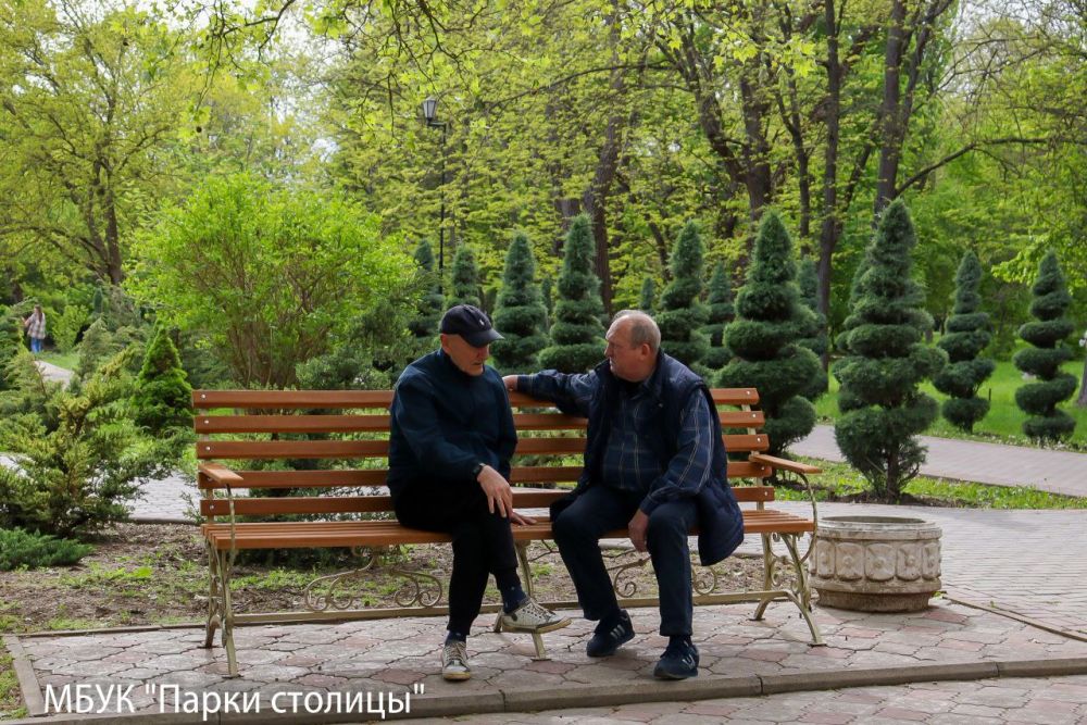 Один день из жизни скамейки