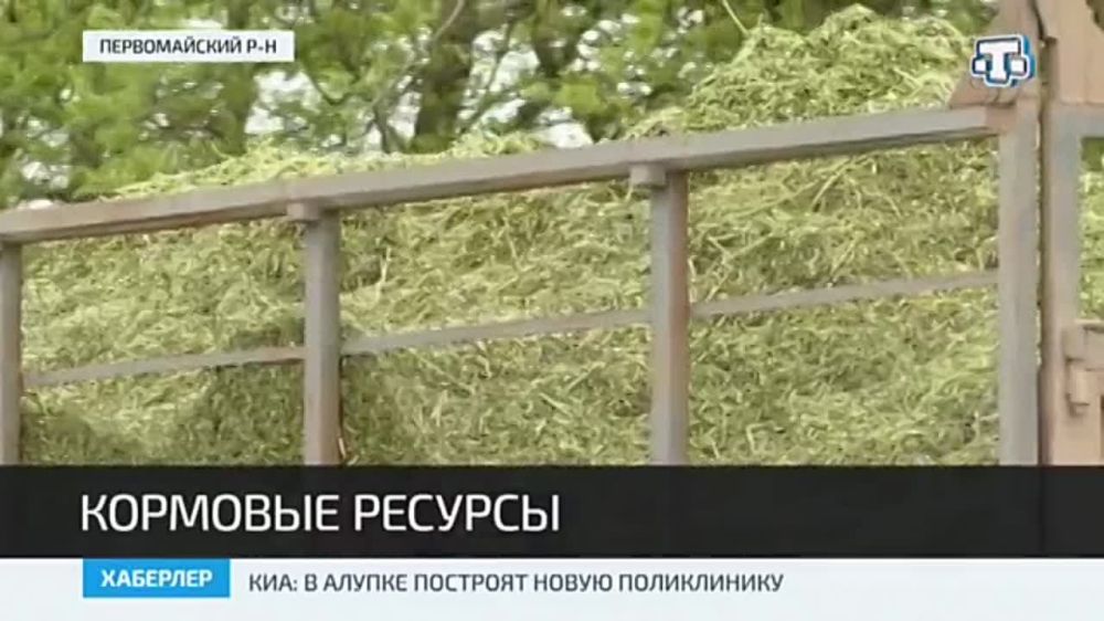 Кампания по заготовке кормов на зиму для сельскохозяйственных животных в Крыму продолжается