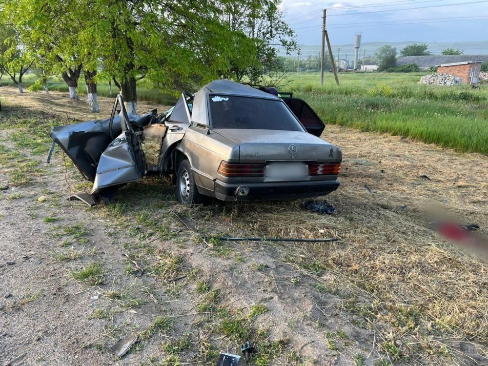 В Ленинском районе водитель врезался в дерево и погиб - Лента новостей Крыма