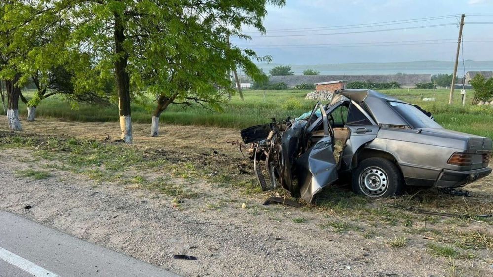 Mercedes влетел в дерево на востоке Крыма – водитель погиб - Лента новостей  Крыма