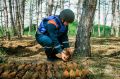 За неделю в Севастополе обезвредили 125 взрывоопасных предметов