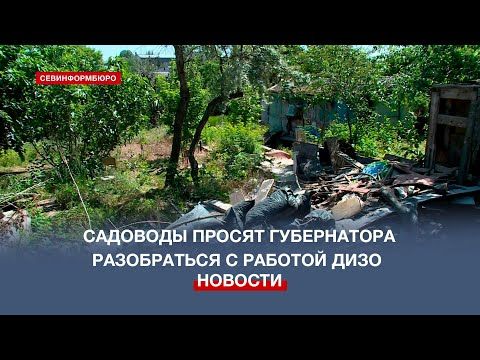 Севастопольские садоводы просят губернатора защитить их дачи от произвола ДИЗО