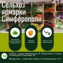 В минувшие выходные на сельхозярмарках Симферополя крымские фермеры продали более 36 тонн товаров
