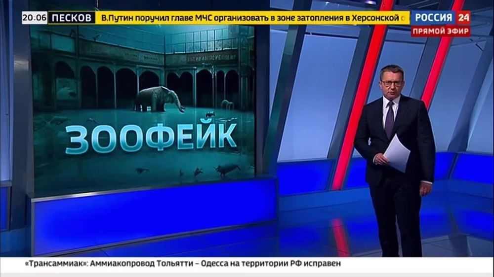 Иван Мезюхо: Зоопарк из Новой Каховки давно уехал, а клоуны из украинского ЦИПСО остались на работе
