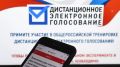 ЦИК России предложил провести дистанционное голосование на выборах в 24 регионах