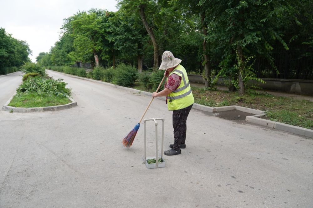 Елена Демидова: САНИТАРНАЯ ОБРЕЗКА ДЕРЕВЬЕВ В КУРОРТНОЙ ЗОНЕ - Лента ...