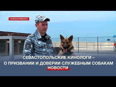 Кинологический центр бизнес план