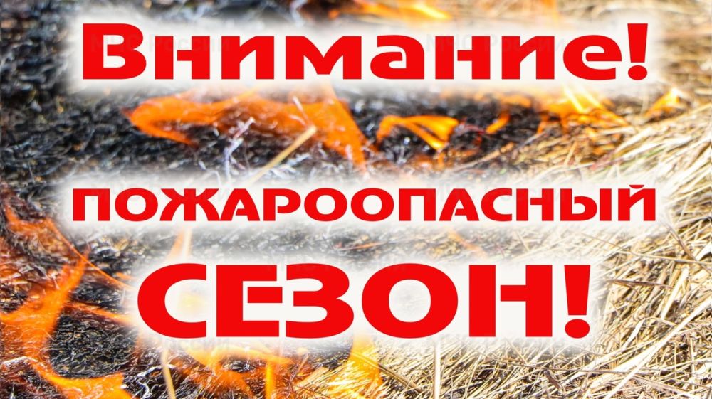 Безопасность в пожароопасный период презентация