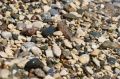 О чём рассказывают морские камни: обзор необычных пляжей Коктебеля