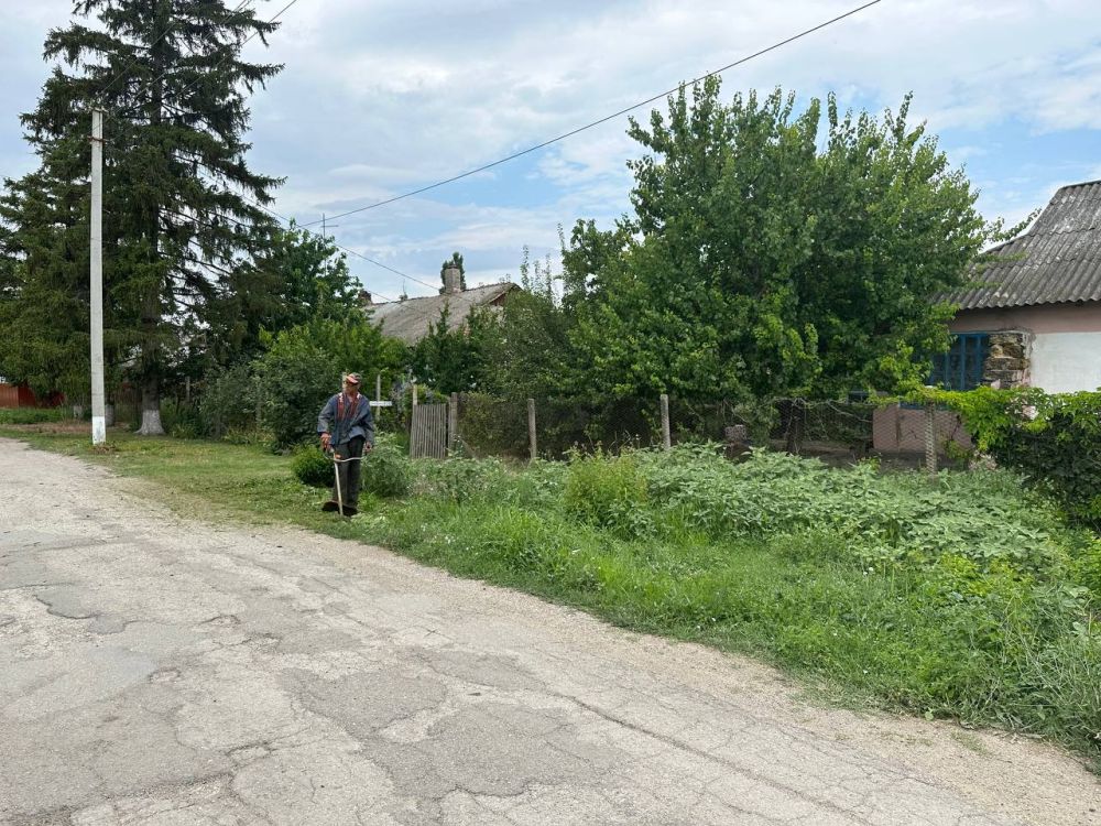 Погода в косточковке нижнегорский. Косточковка. Село Косточковка. Погода в Косточковке.