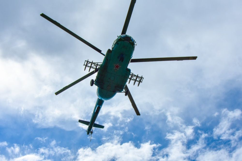 ����� ������� ��������: 17 ����