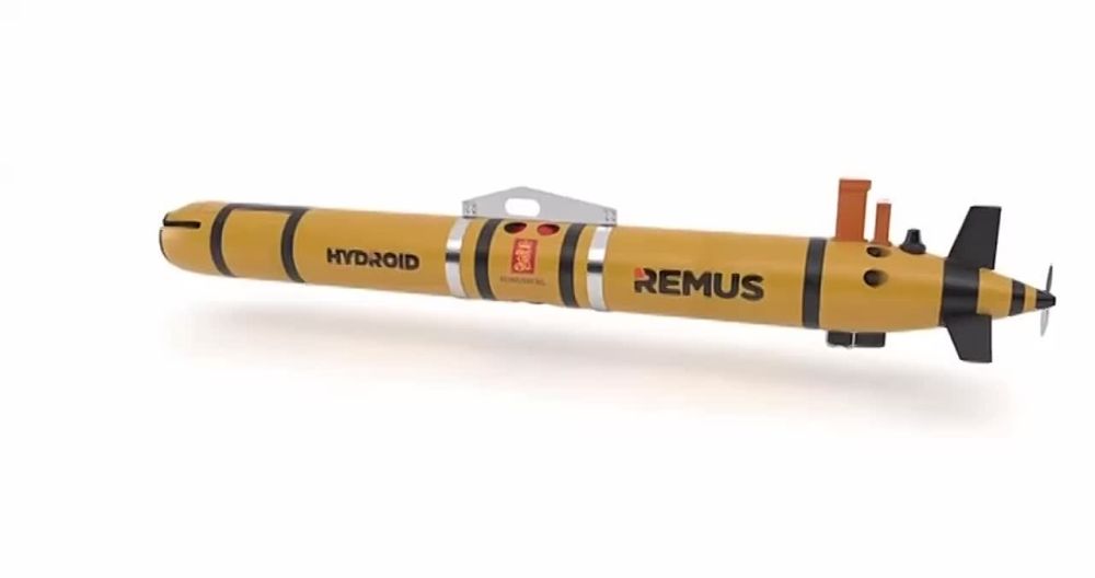  :   ,             REMUS 600    