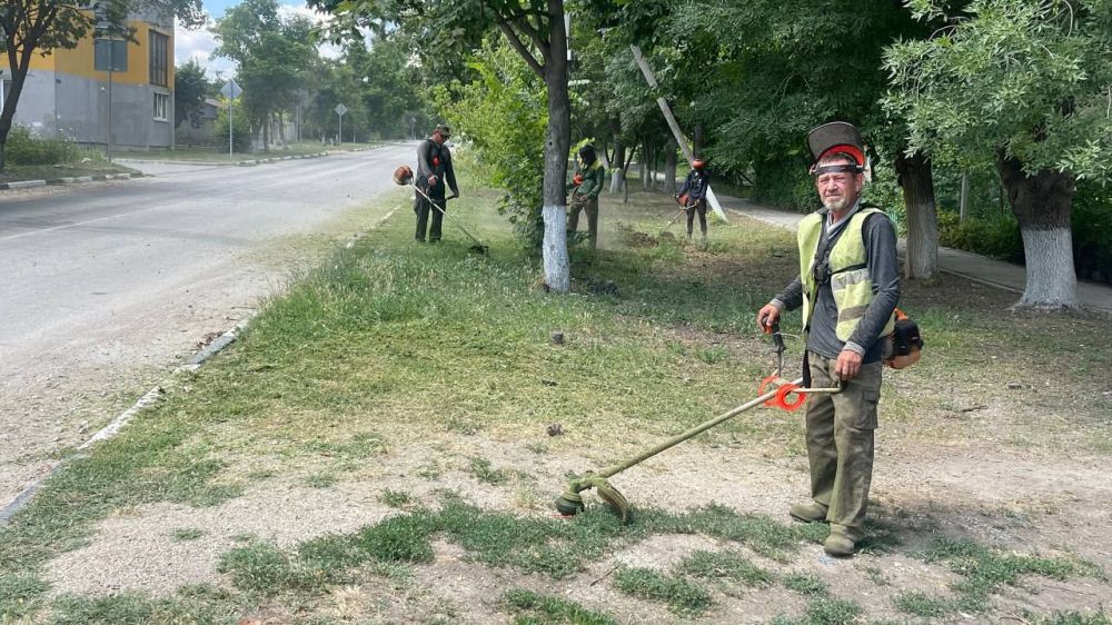 Десант чистоты и порядка 2 класс презентация