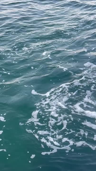 Лето в самом разгаре. Самое время поехать на море. О температуре ...