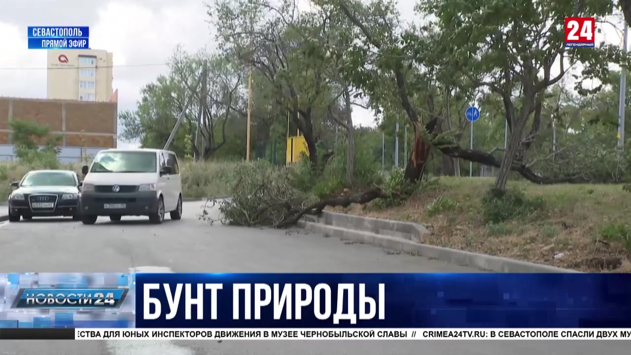 Отвалившийся фасад одной из многоэтажек, вода в подъездах и сломанные  деревья: в Севастополе бушевала гроза с ураганом - Лента новостей Крыма