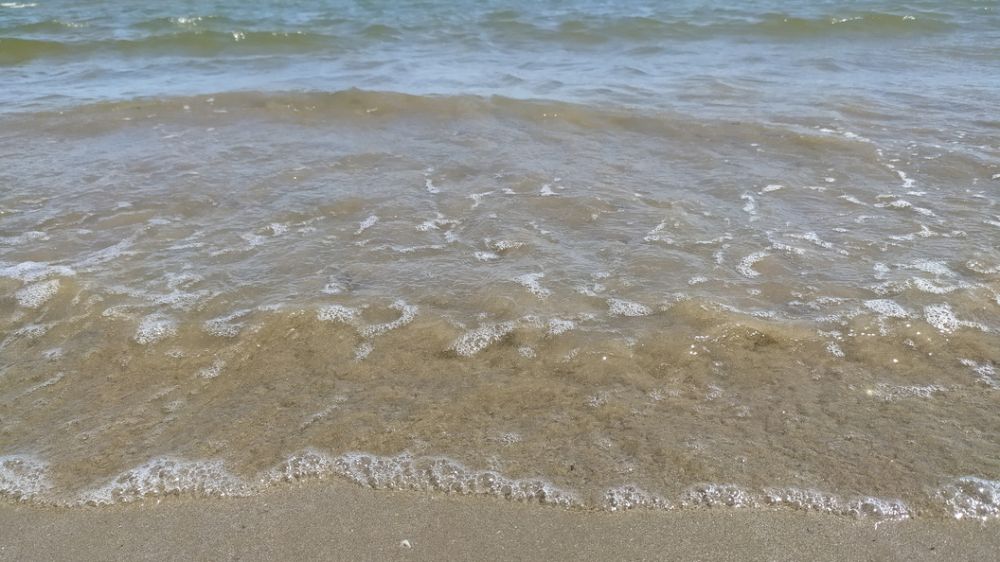 Веб-камера с видом на пляж и море, пгт Сириус