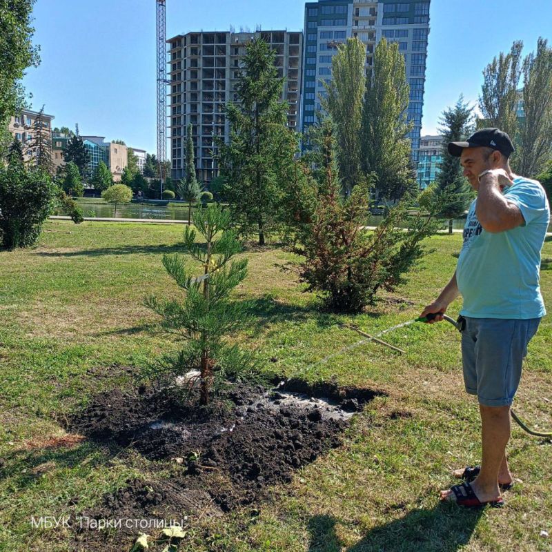 Парк Гагарина монахи