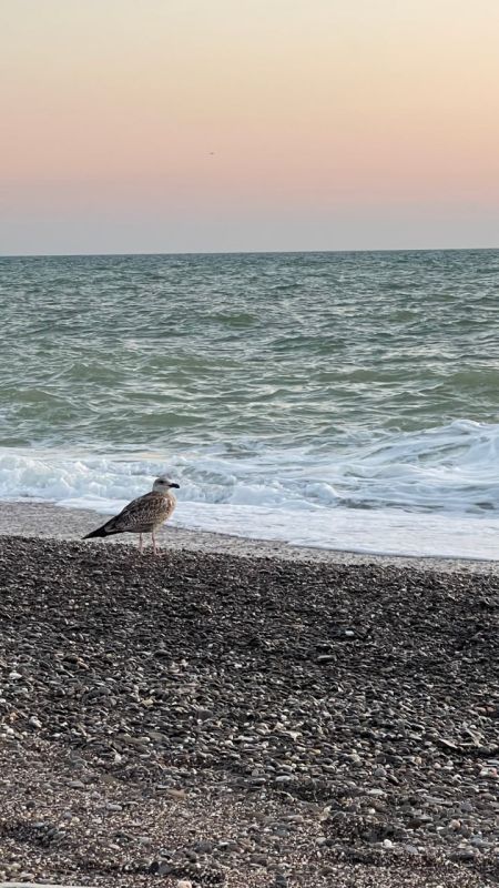 Алушта градусы. Когда прогревается море в Алуште.