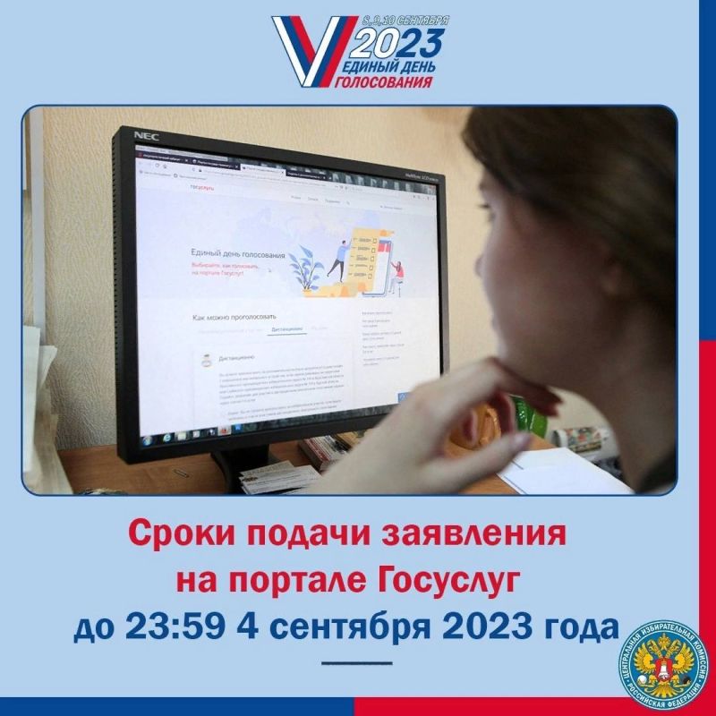 Проголосовать электронно 2025. Как проголосовать электронно.